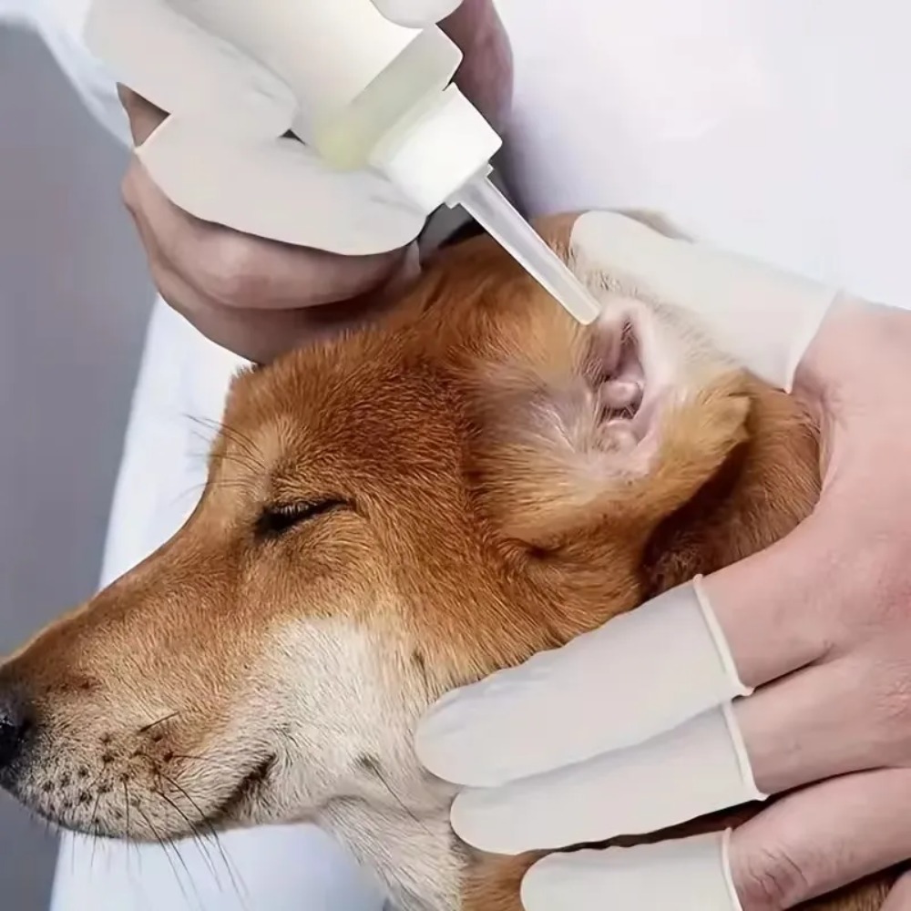 20 قطعة/100 قطعة من أغطية الأص - مراجعة Latex Disposable Glove وسعره